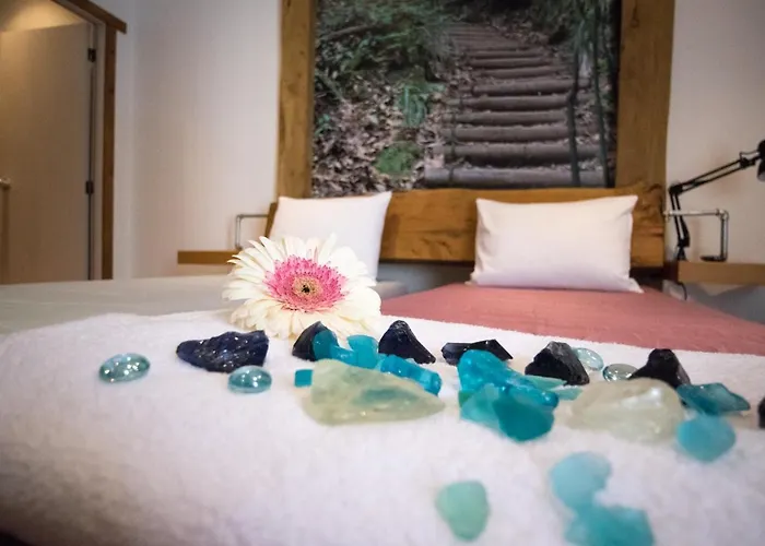 Modern & Recycled ホステル