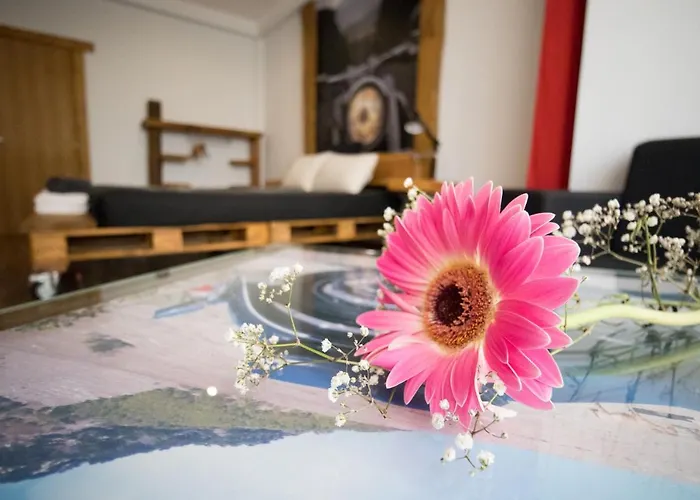 Modern & Recycled ホステル