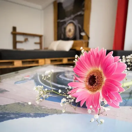 Modern & Recycled 호스텔